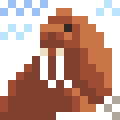 Walrus