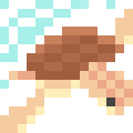 Sea Turtle
