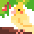 Parrot