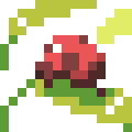 Ladybug