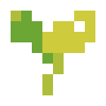 Sprout
