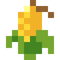 Corn