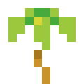 Palm Tree