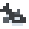 Orca Whale