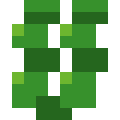 Seaweed