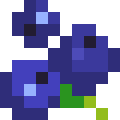 Blueberries