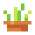 Cat Grass