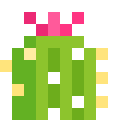 Cactus Flower