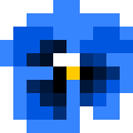 Pansy