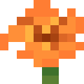 Trumpet Vine