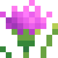 Thistle