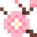 Cherry Blossom
