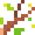 Branch