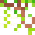 Vines