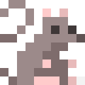 Rat