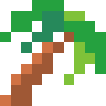 Palm Tree