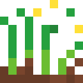 Sprout