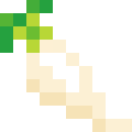 Parsnip