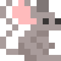 Rat