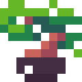 Bonsai