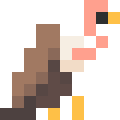 Vulture
