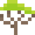 Baobab Tree