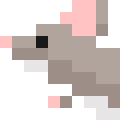 Rat