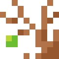The Last Leaf