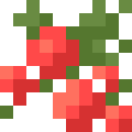 Berries