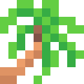 Palm Tree