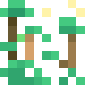 Rainforest