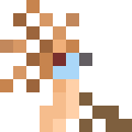 Hoatzin