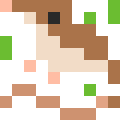 Shrew