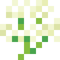 Hemlock