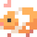 Guinea Pig