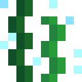 Seaweed