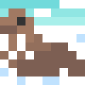 Walrus