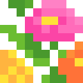 Zinnia
