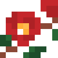 Camellia