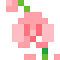 Orchid