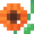 Gerbera