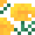 Marigold