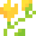 Freesia