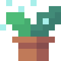 Plant Care