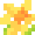 Daffodil