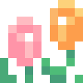 Tulip