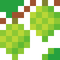 Hops
