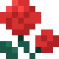 Climbing Rose
