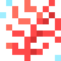Needle Coral