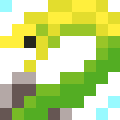Green Moray Eel